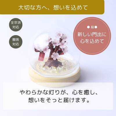 さくら LEDライト