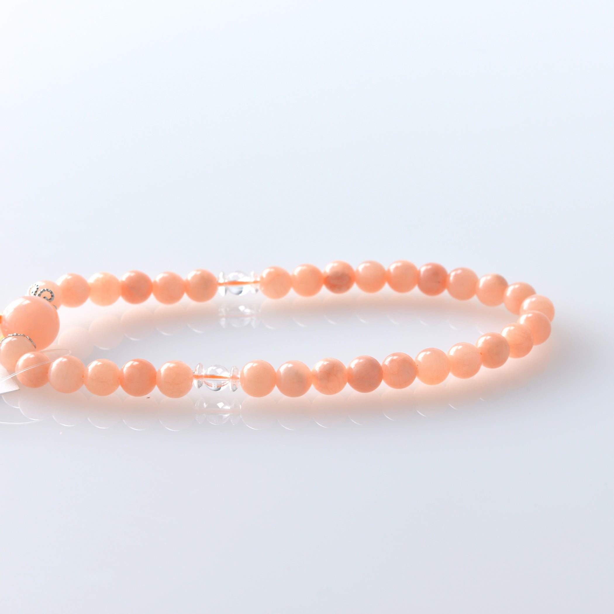 至極 珊瑚（サンゴ）